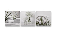 Wall Accents
