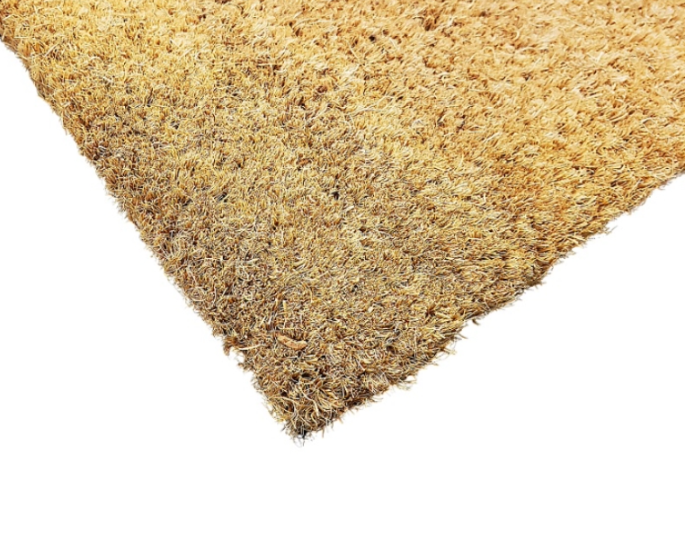 Bee Coir Doormat
